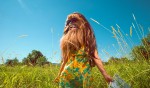 Tributo fotográfico a Chewbacca de La Guerra de las Galaxias en el MundoReal